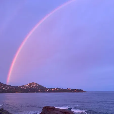 公寓 Cap Esterel - T2 Climatise Vue 4/5 Pers - Piscine - Parking