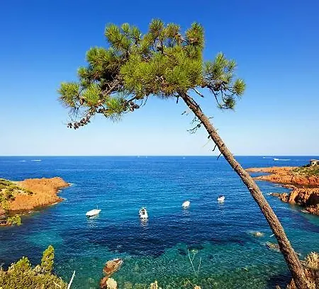 Cap Esterel - T2 Climatise Vue 4/5 Pers - Piscine - Parking Lägenhet *